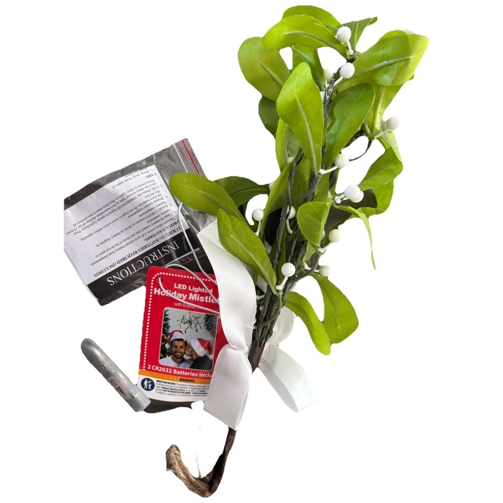 Gerson 12 in. Mistletoe Branch with Warm White LED Lights Hanger - Pa...